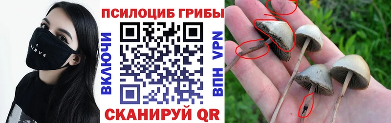 МЕГА как зайти  Славгород  Галлюциногенные грибы Magic Shrooms 